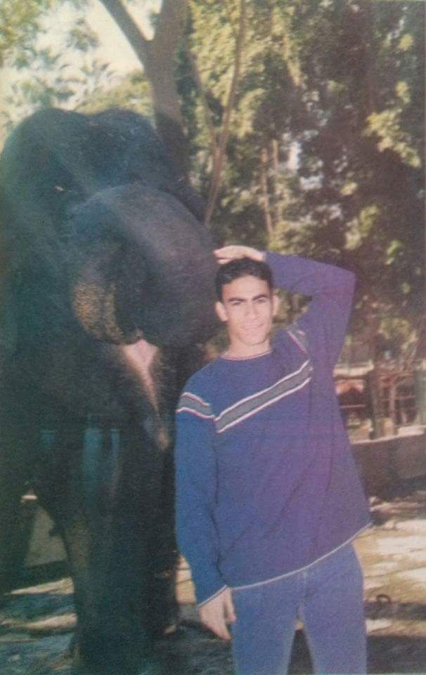 شاهد سيد عبد الحفيظ يلتقط صورة مع الفيل فى حديقة الحيوان اليوم السابع