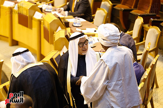 صور.. البرلمان العربى (13)