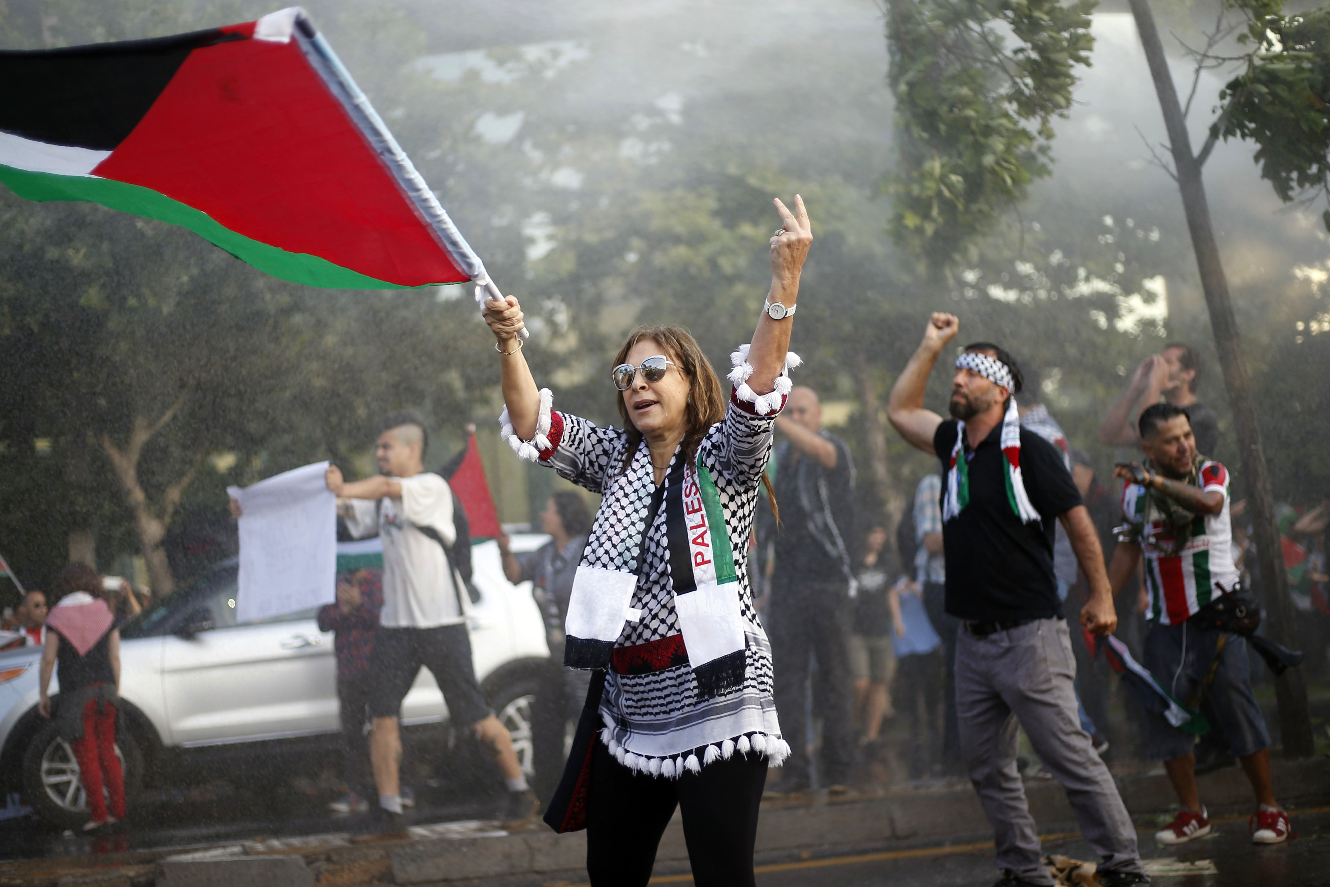 أحد المتظاهرين يرفعون العلم الفلسطينى
