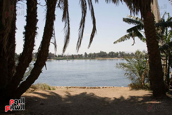  الطبيعة الساحرة تتضافر مع نهر النيل بالأقصر