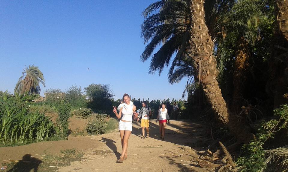 السائحون يستمتعون بزيارات الطبيعة والجزر المميزة بالأقصر