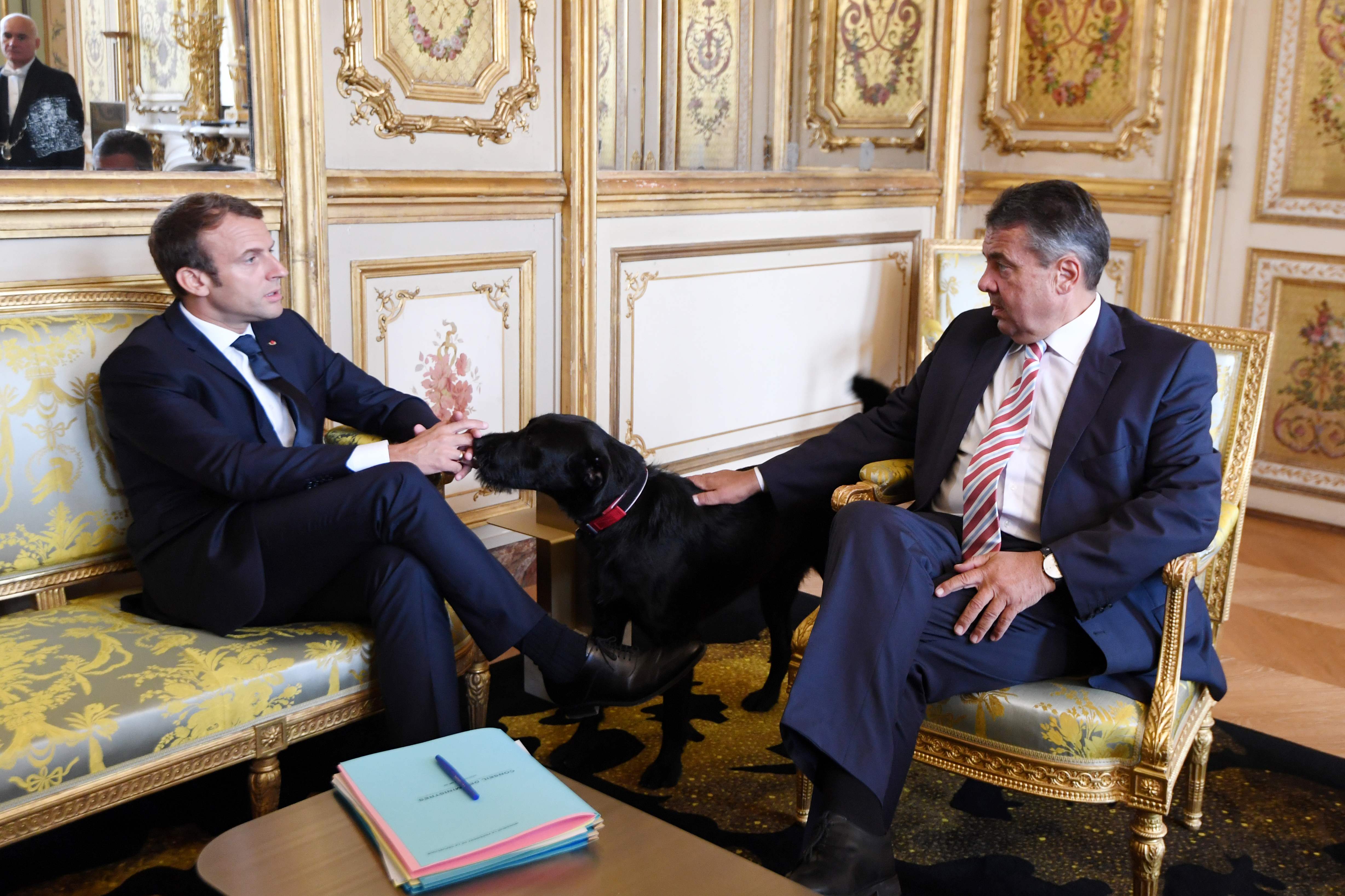 كلب ماكرون فى لقاء رسمى بين رئيس فرنسا ووزير خارجية ألمانيا