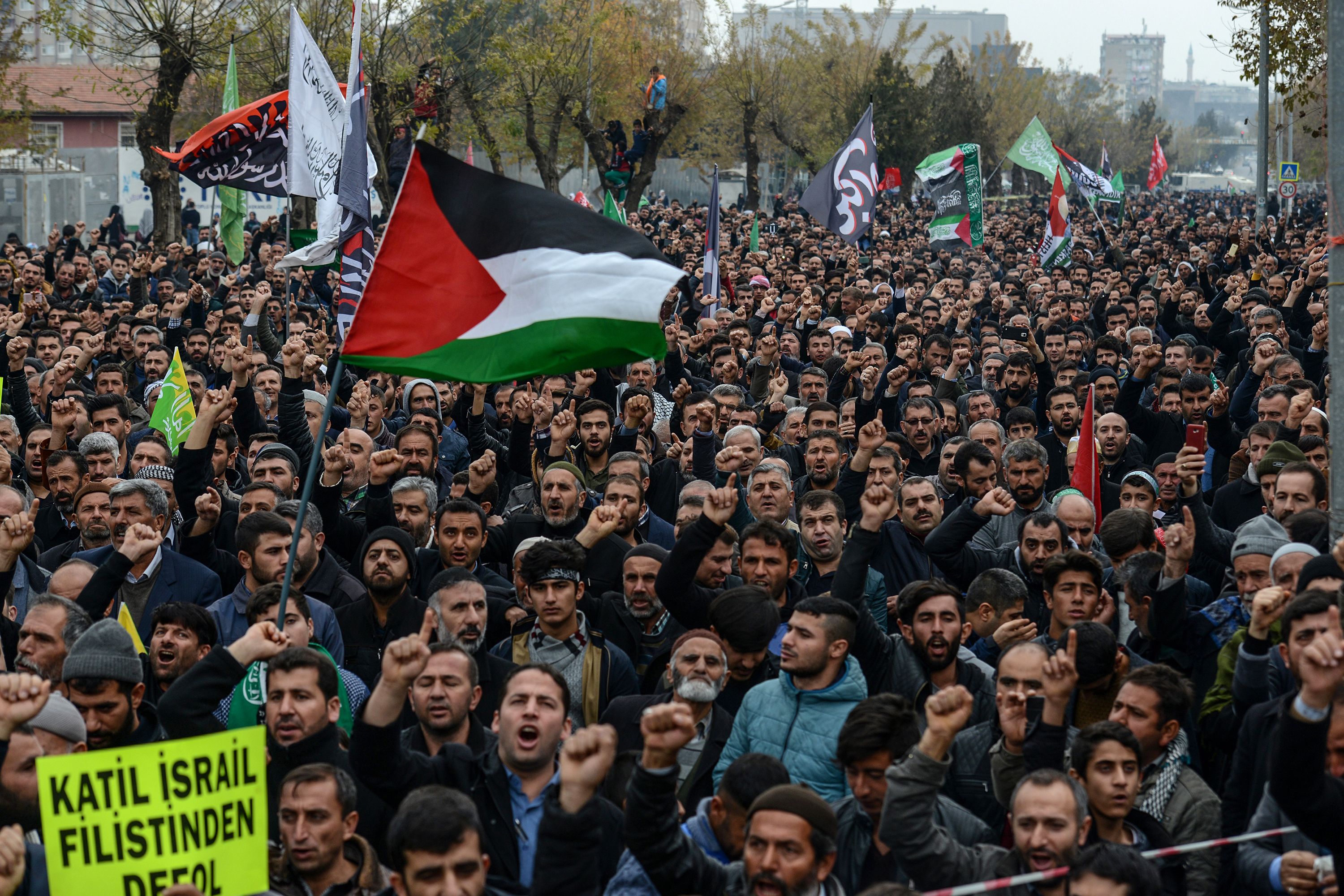 متظاهرون يرفعوون علم فلسطين