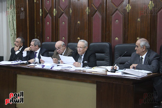 صور اللجنة التشريعية بمجلس النواب (19)
