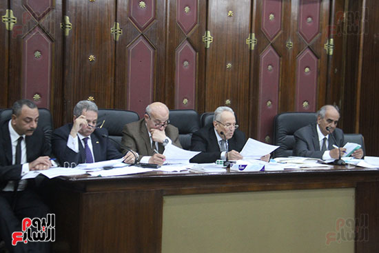 صور اللجنة التشريعية بمجلس النواب (25)