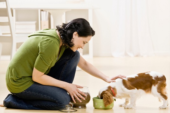 woman-feeding-dog-food_p5o2ue