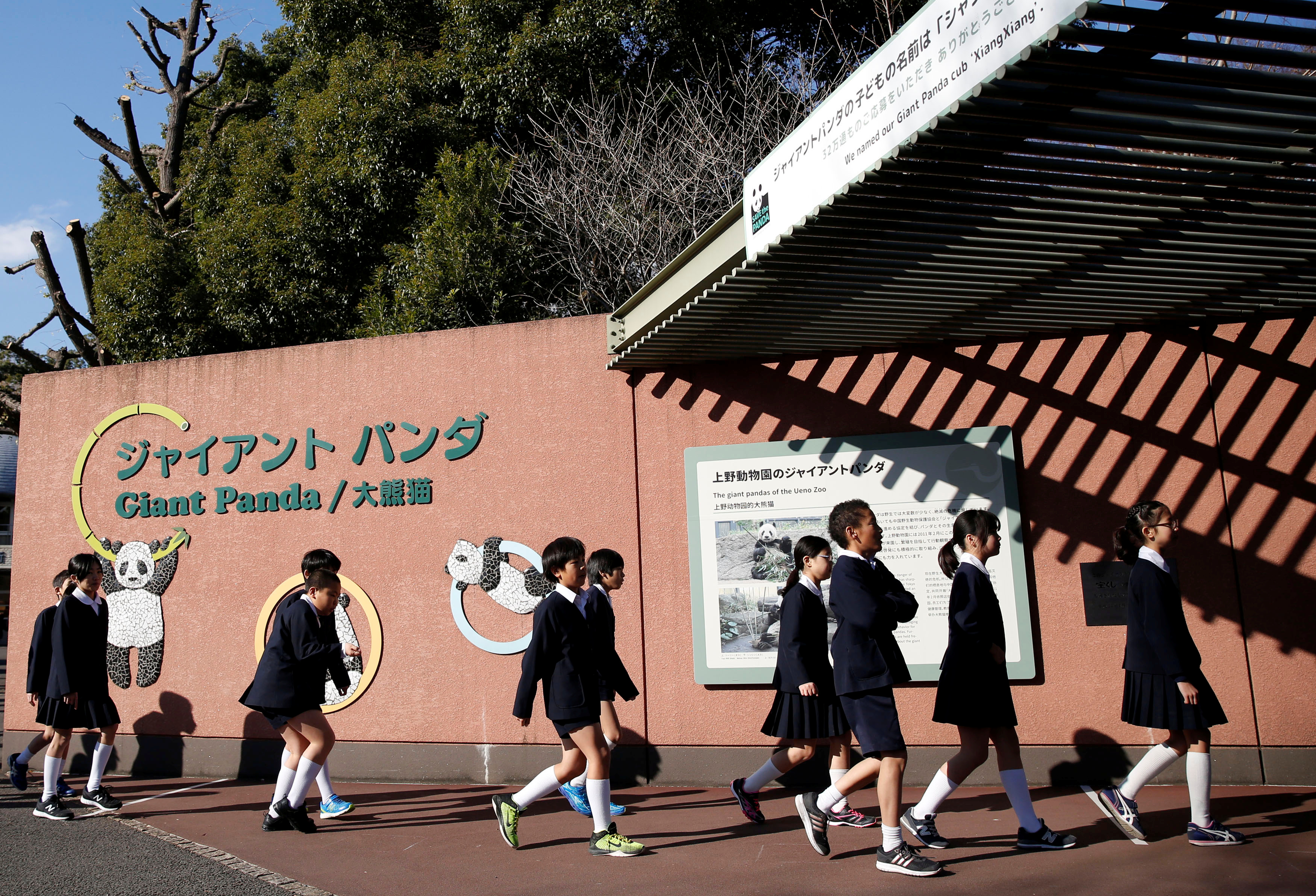 توافد زوار على حديقة أوينو فى طوكيو