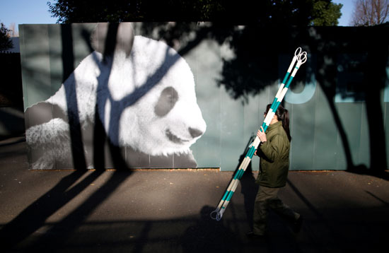عاملة فى حديقة حيوان باليابان
