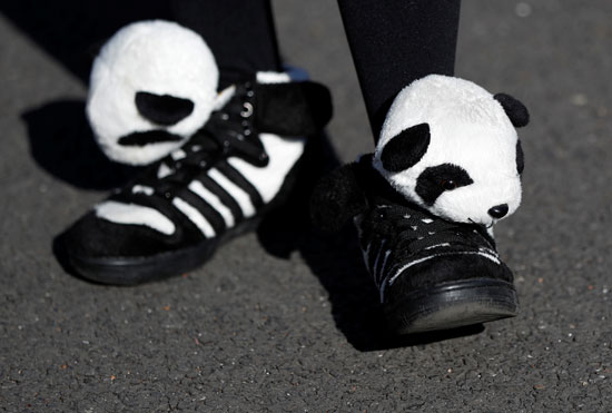 فتاة ترتدى حذاء على هيئة باندا فى اليابان