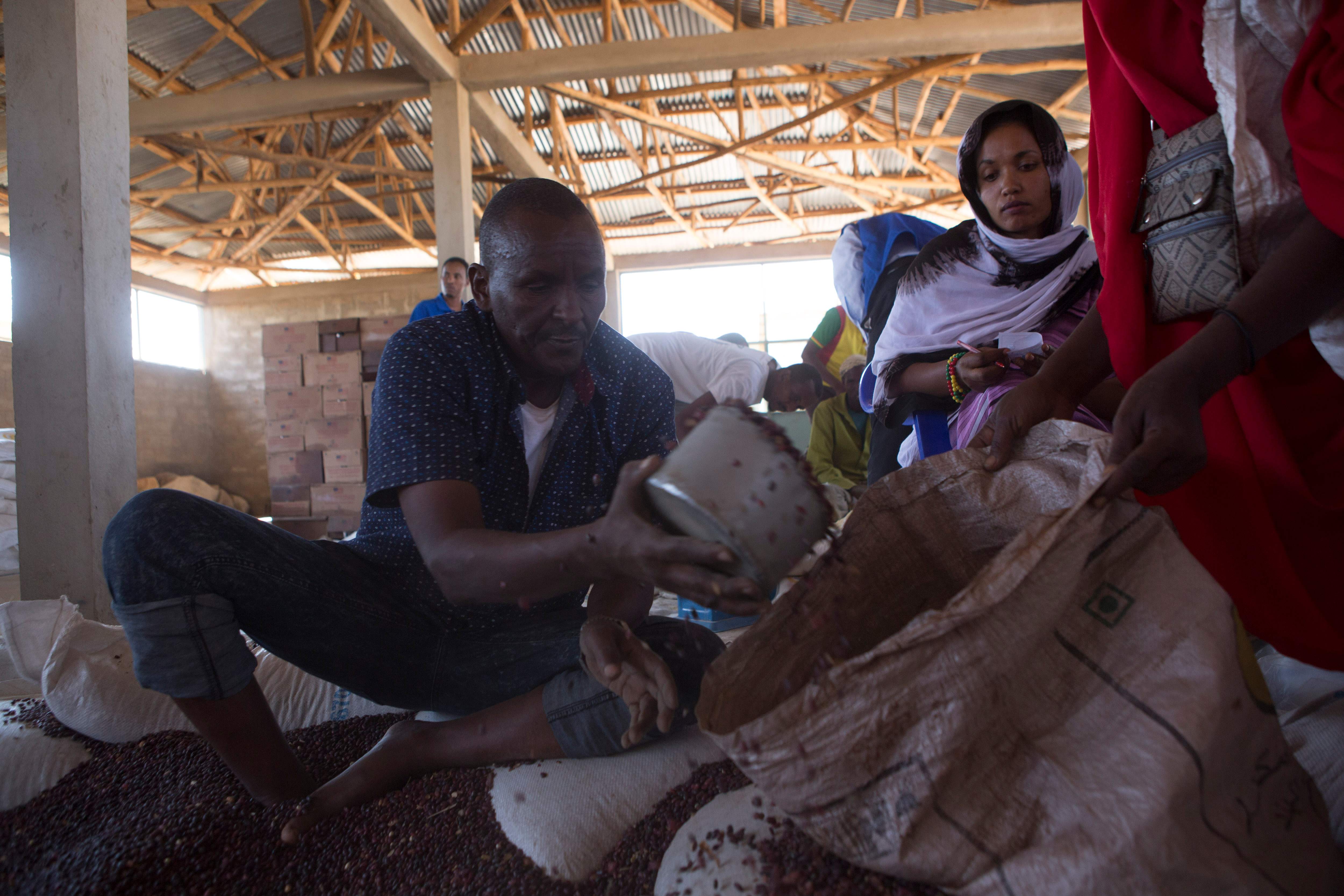 رجل يضع الحبوب كنوع للمساعدة فى حل أزمة السيدات الصوماليات