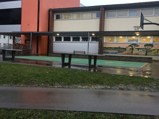 المدارس الألمانية (32)