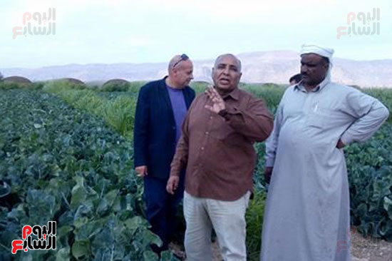 حمدى عبد العليم رئيس مدينة أبو زنيمة يتفقد الخضراوات بالمزرعة