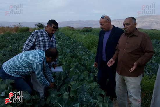 مدير منطقة جهاز تعمير جنوب سيناء يتفقد الزراعات