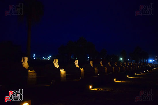  تماثيل طريق الكباش العالمي