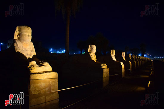  طريق الكباش الذى يربط معبد الأقصر بالكرنك