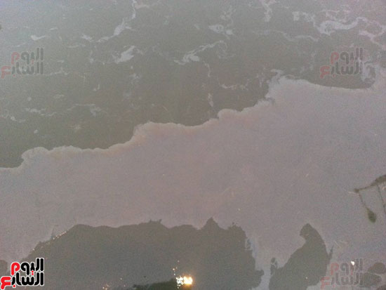 صور بقع الزيت والسولار  فى نهر النيل بالأقصر (8)