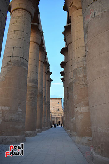 أعمدة تاريخية صامدة داخل معبد الأقصر