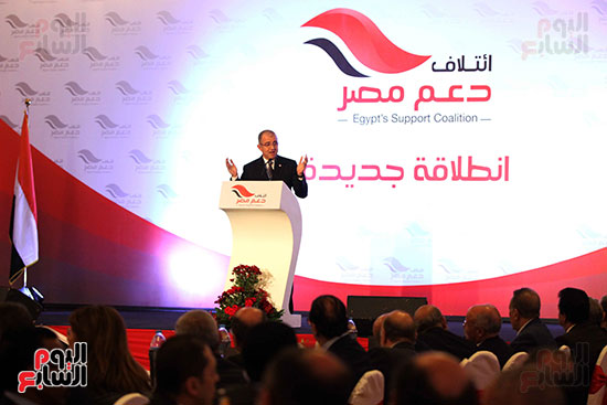 صور مؤتمر ائتلاف دعم مصر  (42)