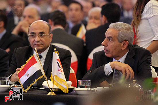 صور مؤتمر ائتلاف دعم مصر  (34)