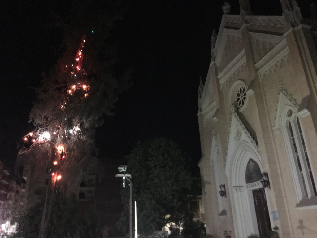 شجرة الكريسماس وكنيسة سانت تريزا بأسيوط