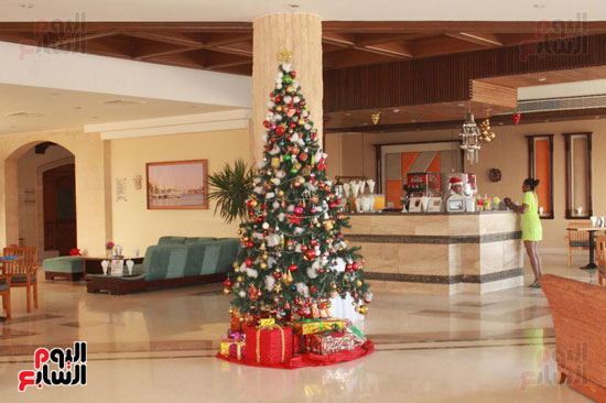 اشجار الكريسماس تنتشر فى فنادق مصر السياحية
