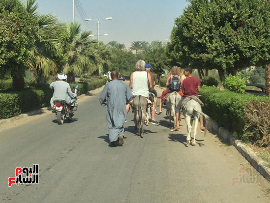 السياح يمتطون الحمير بمحافظة الاقصر