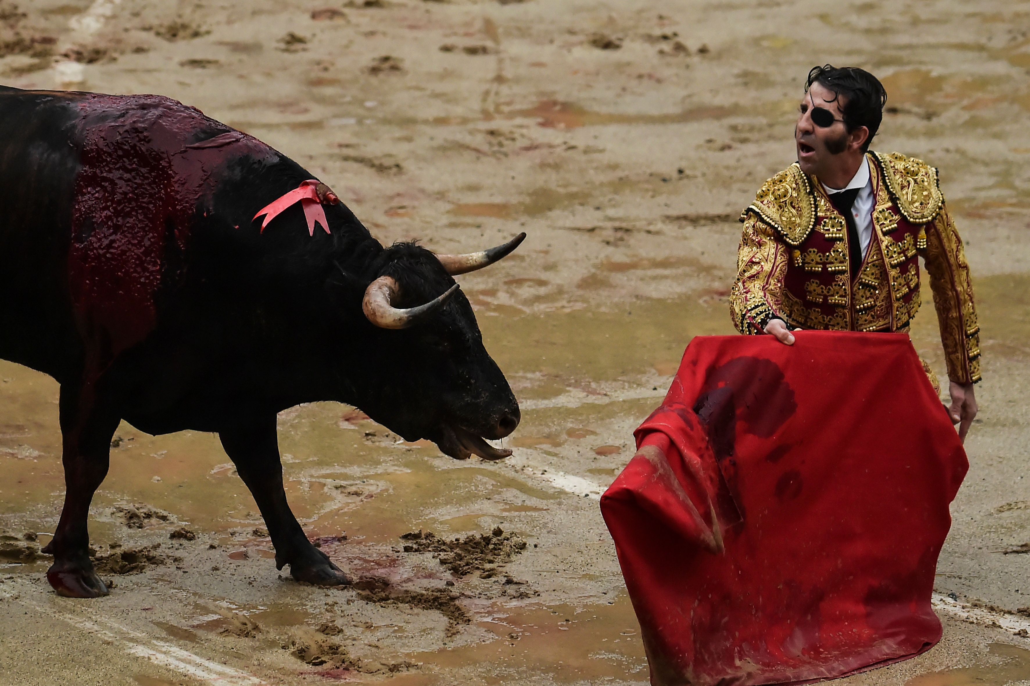 المصارع الإسبانى الشهير خوان خوسيه باديلا  يناور الثور
