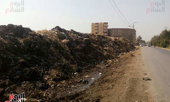  جانب من انتشار القمامة بمدينة زفتي