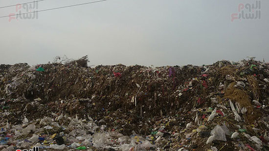 القمامة على الطريق الدائرى بمدينة ببا