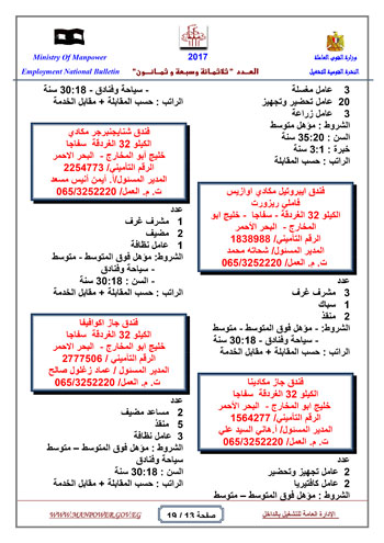 قائمة وزارة القوى العاملة بـ 5342 فرصة عمل حتى نهاية يناير (13)