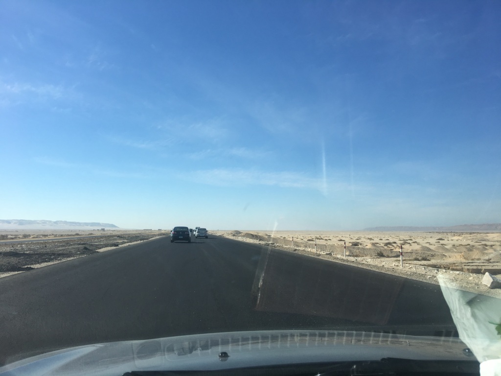 حوادث الطريق الصحرواي (9)