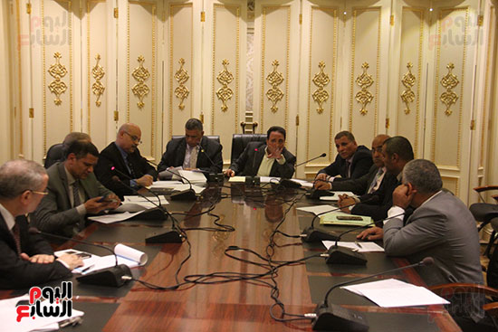 صور لجنة القوى العاملة بمجلس النواب (15)