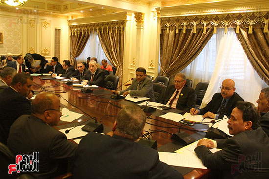 صور لجنة القوى العاملة بمجلس النواب (9)