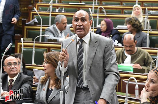 صور جلسة مجلس النواب برئاسة الدكتور على عبد العال رئيس المجلس (7)