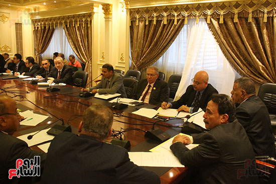 صور لجنة القوى العاملة بمجلس النواب (8)