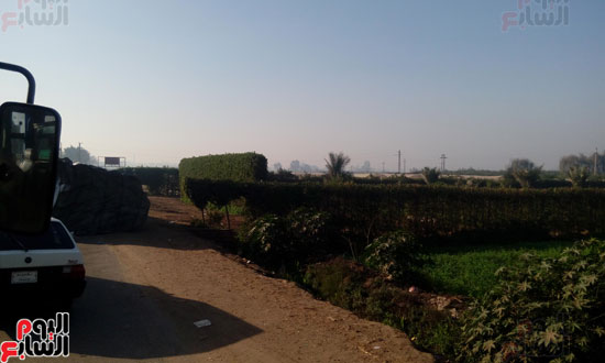 انقلاب-مقطورة-نقل-على-طريق-المنصورة-(1)