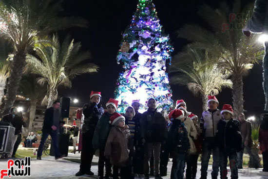 فيديو وصور.. احتفالات أهالى بورسعيد بشجرة عيد الميلاد  (3)
