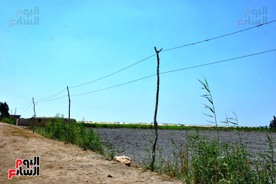 مساحات من الأراضى الزراعية تنتظر المياه