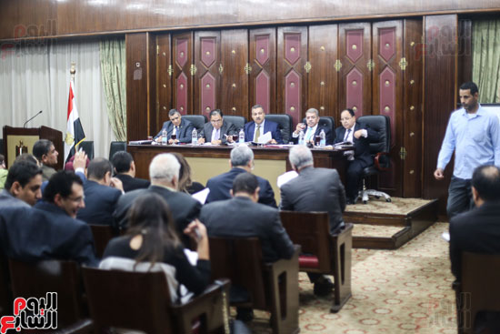 صور  لجنة الشئون الصحية بمجلس النواب (15)