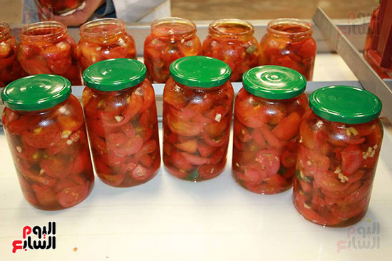منتج الطماطم المجففة النهائية بالأقصر