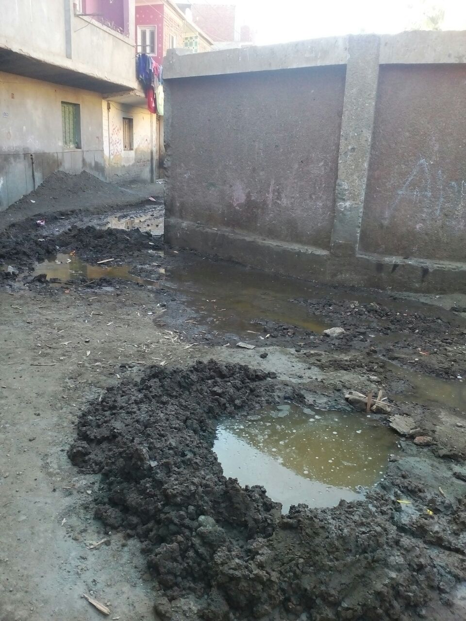طفح مياه المجارى أمام مدرسة قرية قلما بالقليوبية
