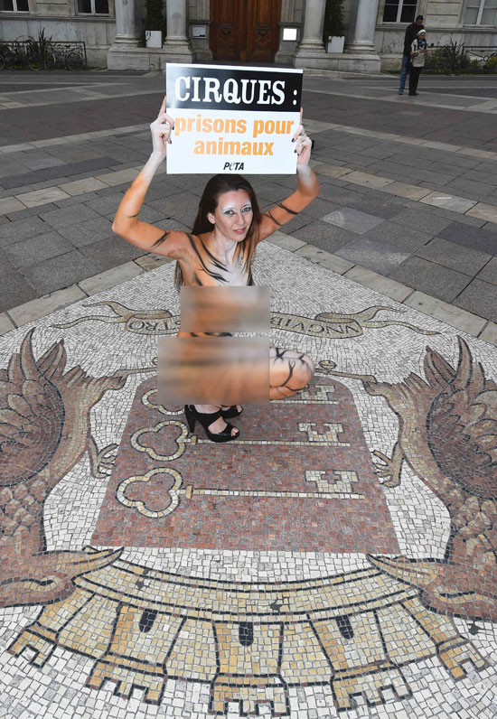 فتاة برازيلية تتظاهر عارية الجسد للاحتجاج على المعاملة غير الانسانية تجاه حيوانات السيرك
