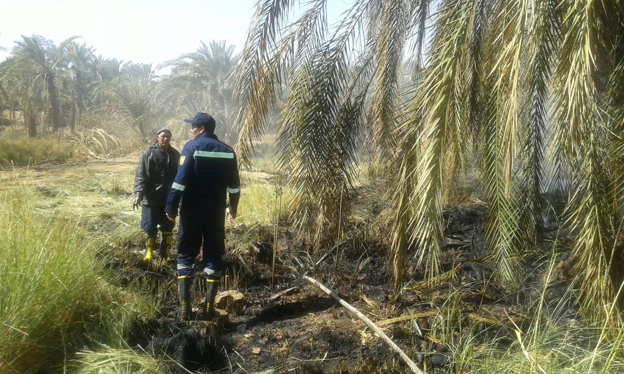 حريق فى بئر الحدادين بالداخلة  (6)