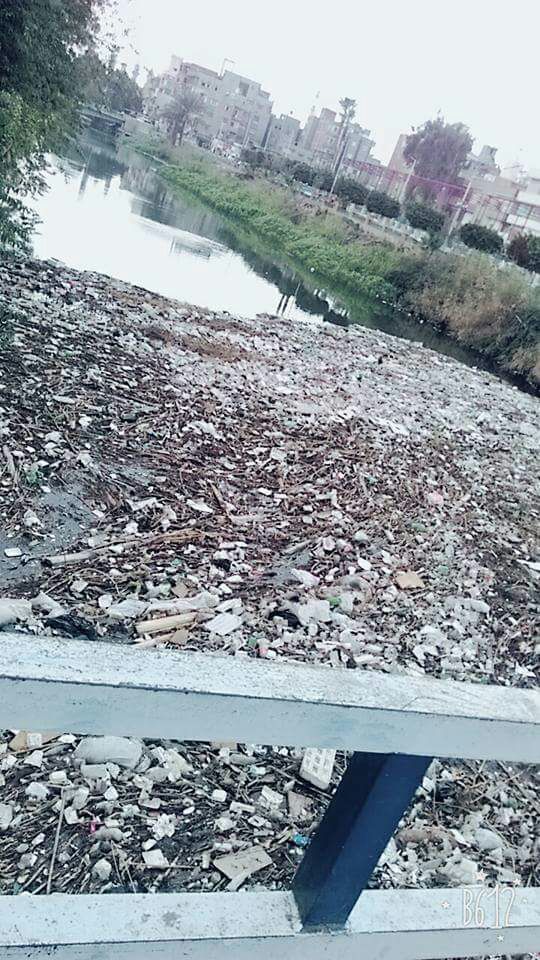 القمامة متراكمة بمياه النيل
