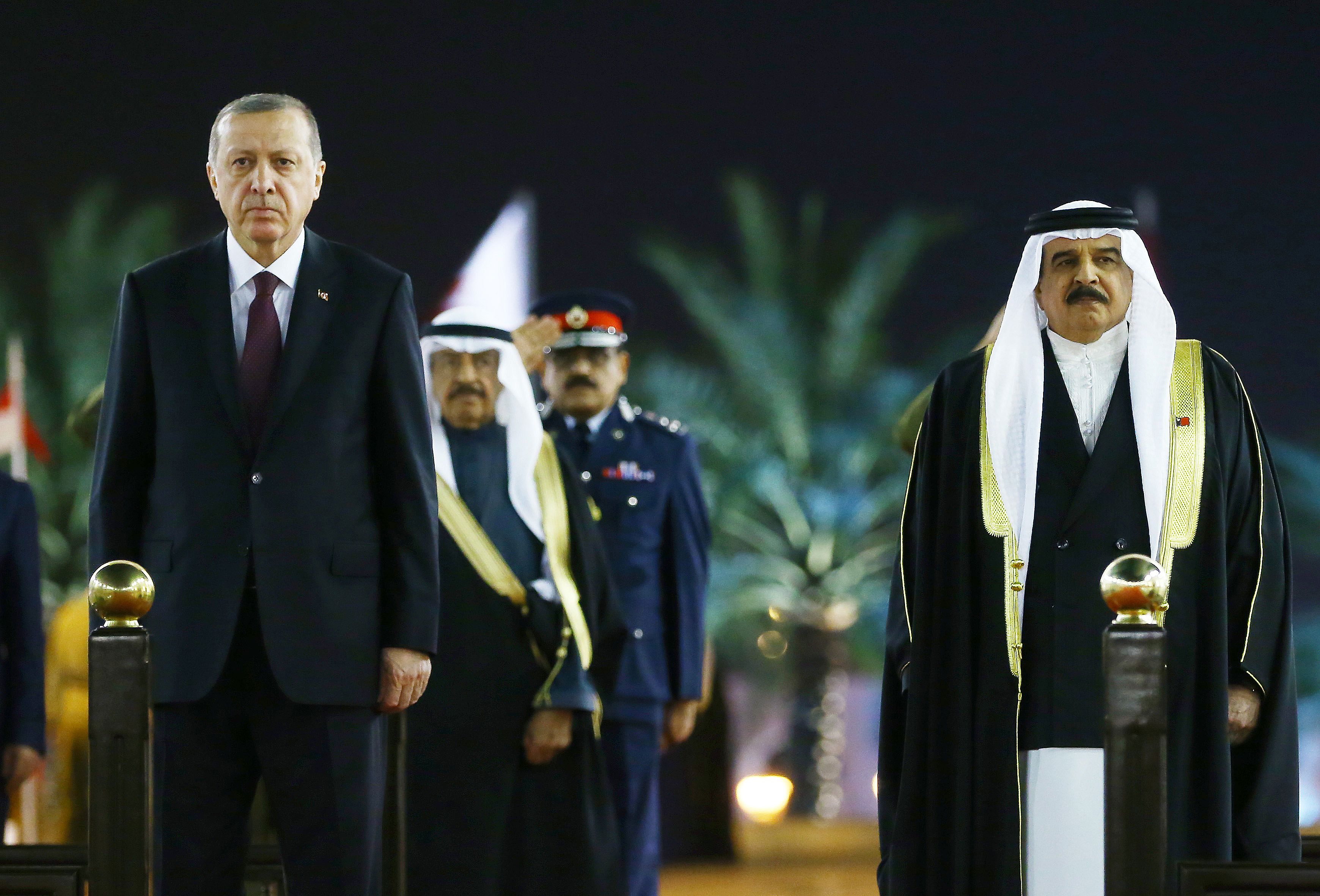 ملك البحرين ورئيس تركيا  (3)