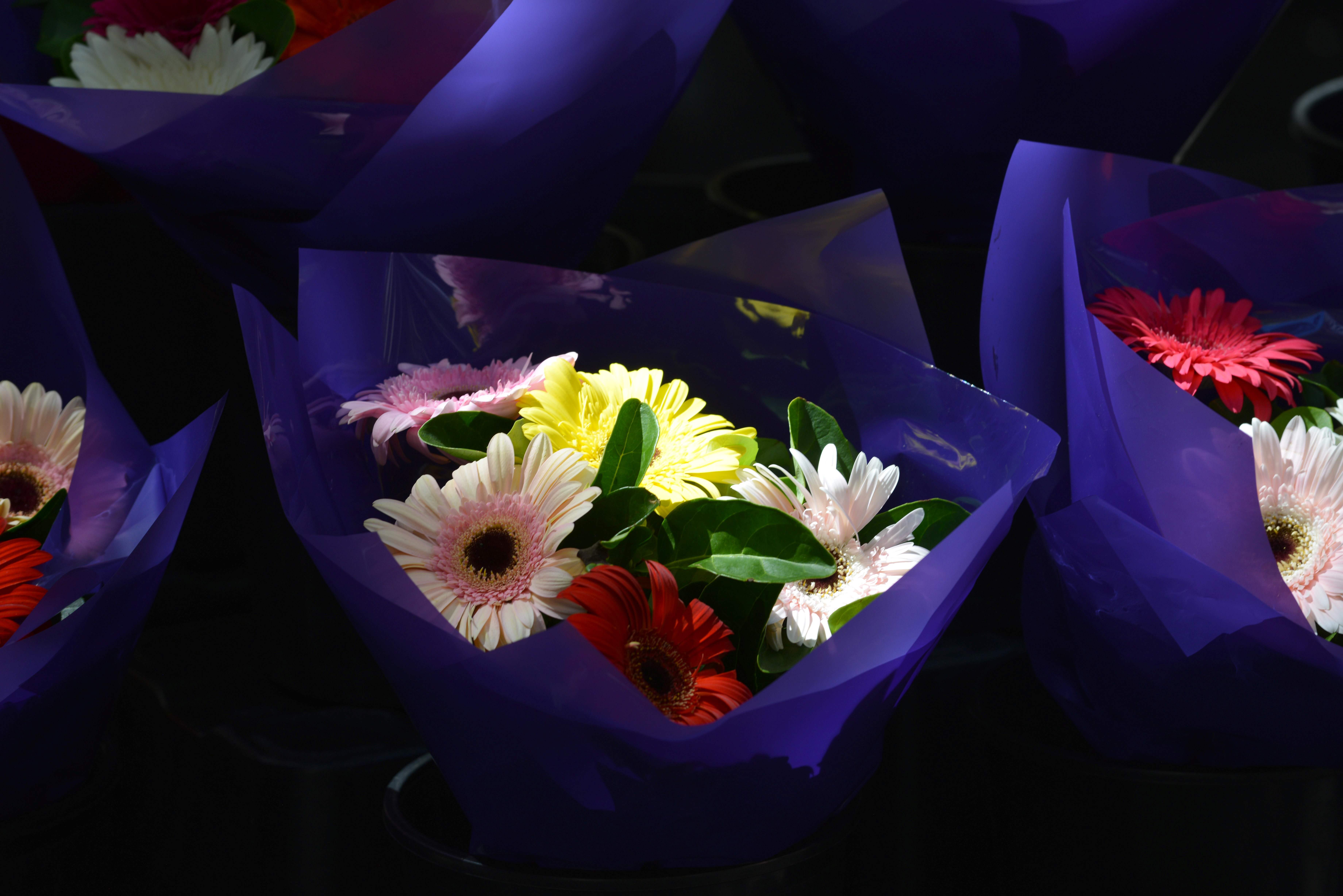 باقات الورود فى استراليا استعدادًا لاحتفالات عيد الحب