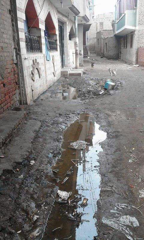 مياه الصرف تغرق شوارع القرية 1