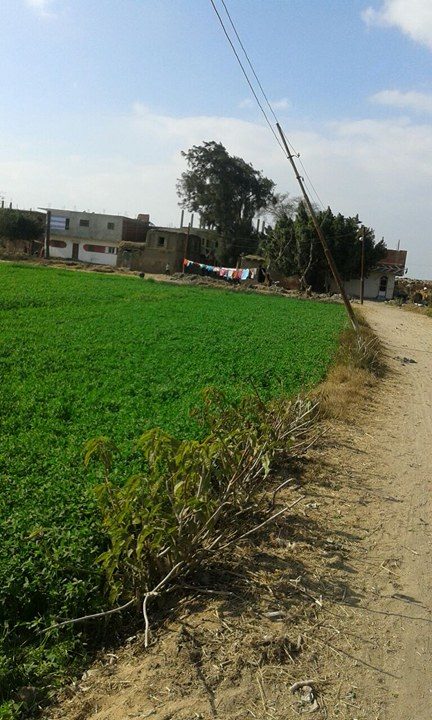 عمود إنارة مائل