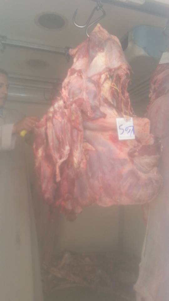 طرح 1145 كيلو من اللحوم باسعار مخفضة للمواطنين  بالعدوة بالمنيا
