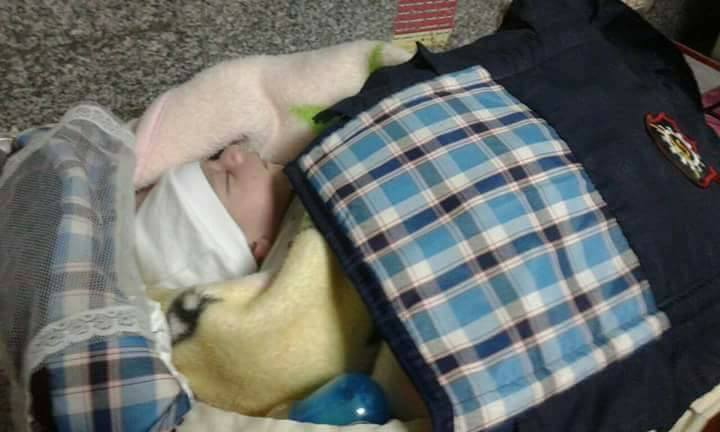 الطفل الرضيع ملفوف ببطانية داخل حقيبة حمل أطفال